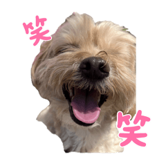 [LINEスタンプ] マルプーのマロンたん3