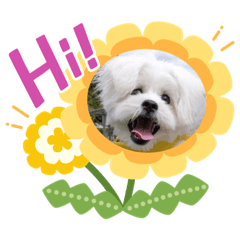 [LINEスタンプ] ⭐︎マリーちゃん⭐︎