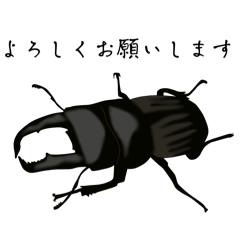 [LINEスタンプ] スジブトヒラタクワガタスタンプ