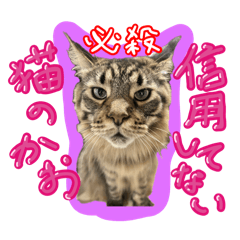 [LINEスタンプ] ぎれぴとじぜぴとふらぴその2