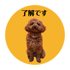 [LINEスタンプ] うちのぷちゃんスタンプ