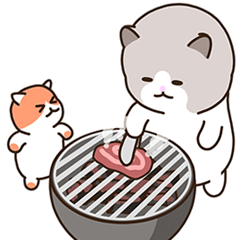 [LINEスタンプ] ぽっちゃり猫 DAMI