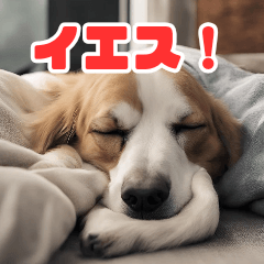 [LINEスタンプ] 常に眠そうな犬