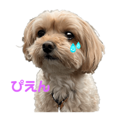 [LINEスタンプ] マルプーのマロンたん2#