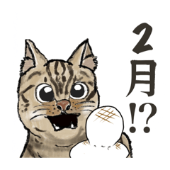 [LINEスタンプ] きせつのねこちゃん 月日の流れに驚愕する