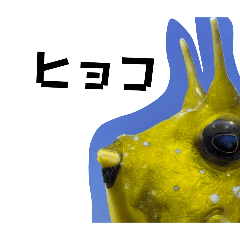 [LINEスタンプ] 魚のやーつ