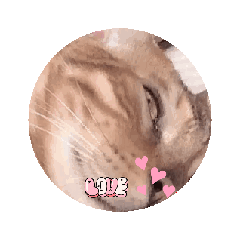 [LINEスタンプ] 癒しAnimalスタンプ