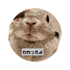 [LINEスタンプ] あたち、もも2の画像（メイン）