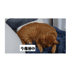 [LINEスタンプ] ふきり