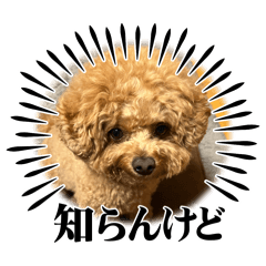 [LINEスタンプ] おらタヌなのら