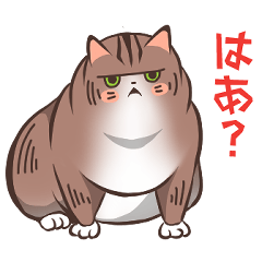 [LINEスタンプ] おデブな猫さん（キジトラ）