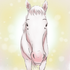 [LINEスタンプ] ユルーク芦毛と白毛のお馬さん