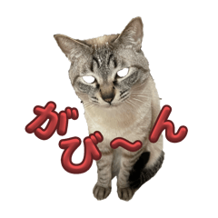 [LINEスタンプ] おれ レオくんの画像（メイン）