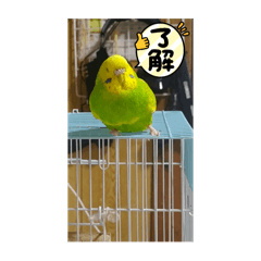 [LINEスタンプ] レモンのサワー