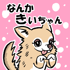 [LINEスタンプ] なんかきぃちゃん