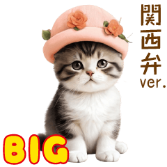 [LINEスタンプ] スコティッシュ猫 ピンク帽BIG 関西弁ver.