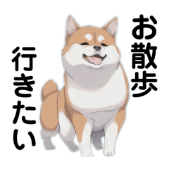 [LINEスタンプ] かわいい♡柴犬の日常