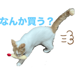 [LINEスタンプ] わがやのまくちゃん3