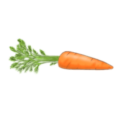 [LINEスタンプ] KITSUNEBIのお野菜