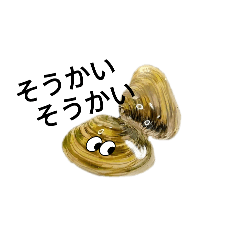 [LINEスタンプ] kiirobanafish(ダジャレ)