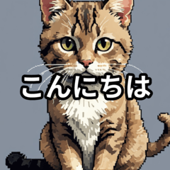 [LINEスタンプ] 日常生活で使える猫ミーム