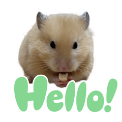 [LINEスタンプ] ハムスターまったり