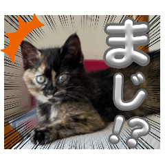[LINEスタンプ] 花ちゃんパート3