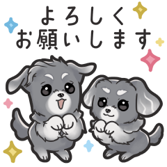 [LINEスタンプ] シュナくんとシュナちゃん