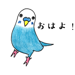 [LINEスタンプ] インコのぴぴろり1