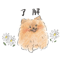 [LINEスタンプ] ポメラニアン♡♡ロロ