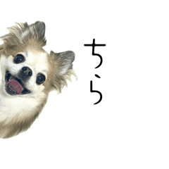 [LINEスタンプ] #ももたの日常