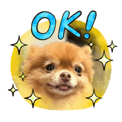 [LINEスタンプ] ポメラニアン'z