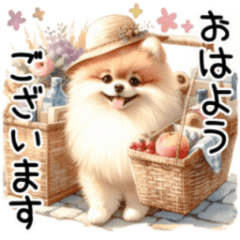 [LINEスタンプ] ずっと使える♡敬語♡ポメラニアン