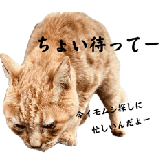 [LINEスタンプ] しもてぃーず16