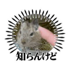 [LINEスタンプ] 動くシリーズ 2の画像（メイン）