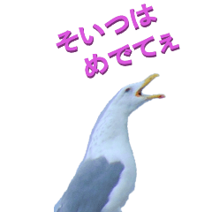 [LINEスタンプ] 江戸っ子な身近な鳥1-1ーBIG