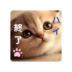 [LINEスタンプ] 可愛さ(余って)100％