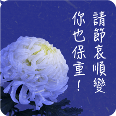 [LINEスタンプ] 中国語 葬式 葬儀の言葉 ご冥福