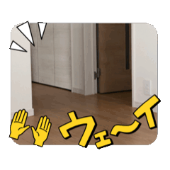 [LINEスタンプ] シーズーのマハロ君の画像（メイン）