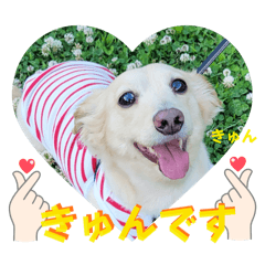 [LINEスタンプ] アンくんのスタンプ☆☆