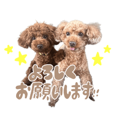 [LINEスタンプ] ロック、ピース、レア
