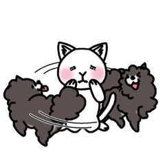 [LINEスタンプ] 白猫チロとポメのキュロ