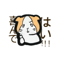 [LINEスタンプ] 実習平和班スタンプの画像（メイン）