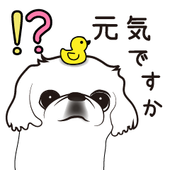 [LINEスタンプ] ペキニーズ*ぺたんこ*スタンプ③