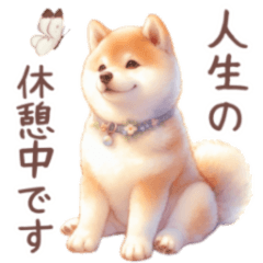 [LINEスタンプ] ずっと使える♡癒しの色々な動物達♡敬語