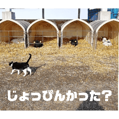 [LINEスタンプ] みやちゃん牧場 北海道弁