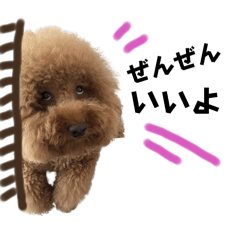 [LINEスタンプ] デカプーの使えるプードルスタンプ2
