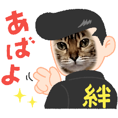 [LINEスタンプ] いぬとも＆ねことも②