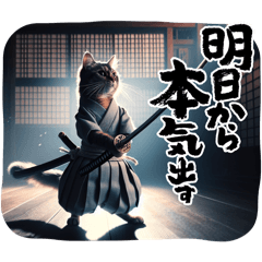 [LINEスタンプ] 猫侍1号