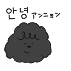 [LINEスタンプ] トイプードルから韓国語と日本語でひとこと